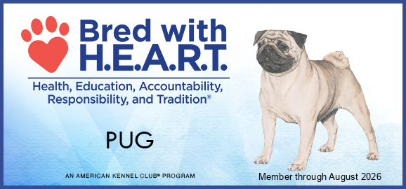 Image Of 2025 Pug Bwh Banner