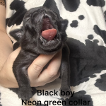 Image Of E51D6D3D B1Ae 4D99 B6C3 Adb99Abc703D