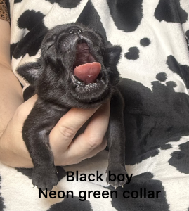 Image Of E51D6D3D B1Ae 4D99 B6C3 Adb99Abc703D